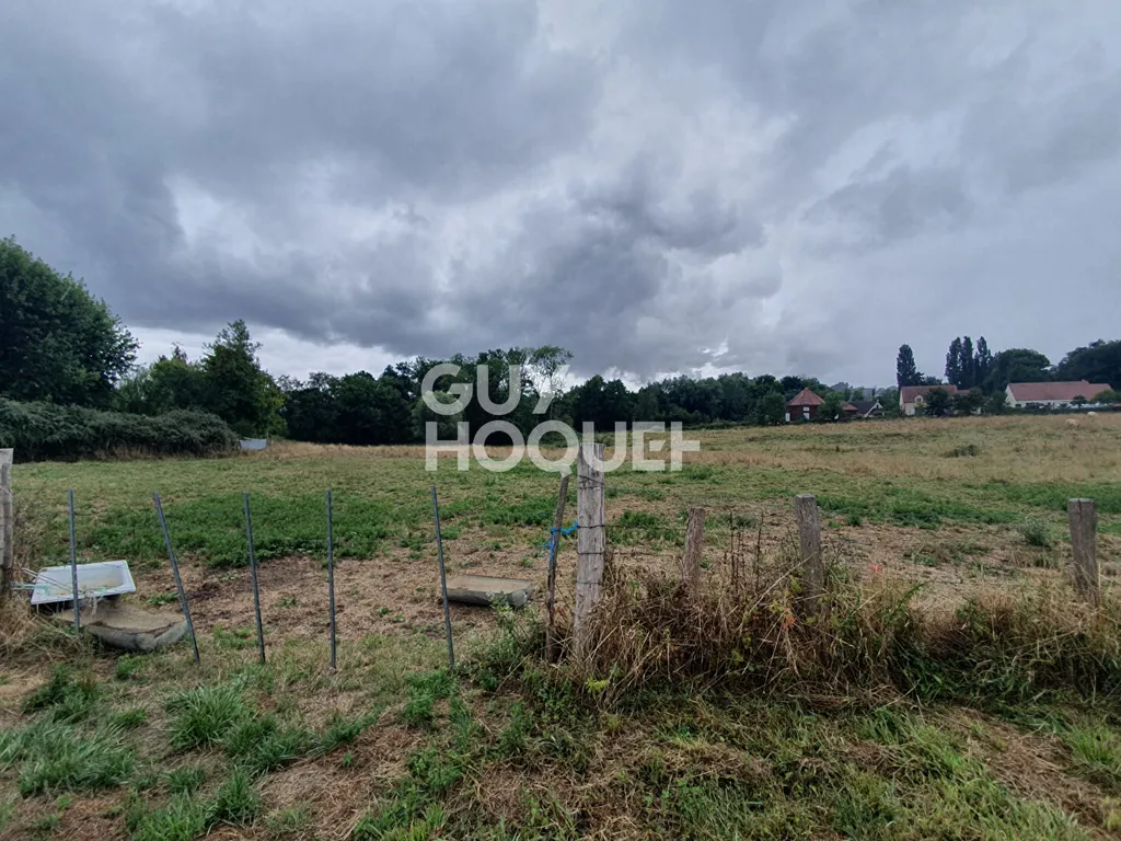 terrain à CHARBUY, 14873 m² — photo 4 sur 4